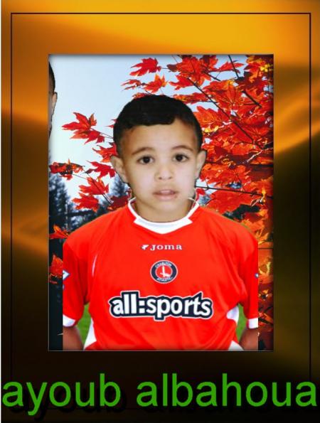 ayoub